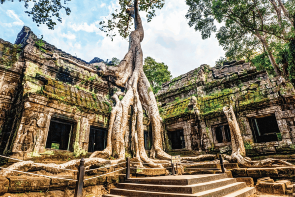 Full-Day Angkor Discovery - Image 4